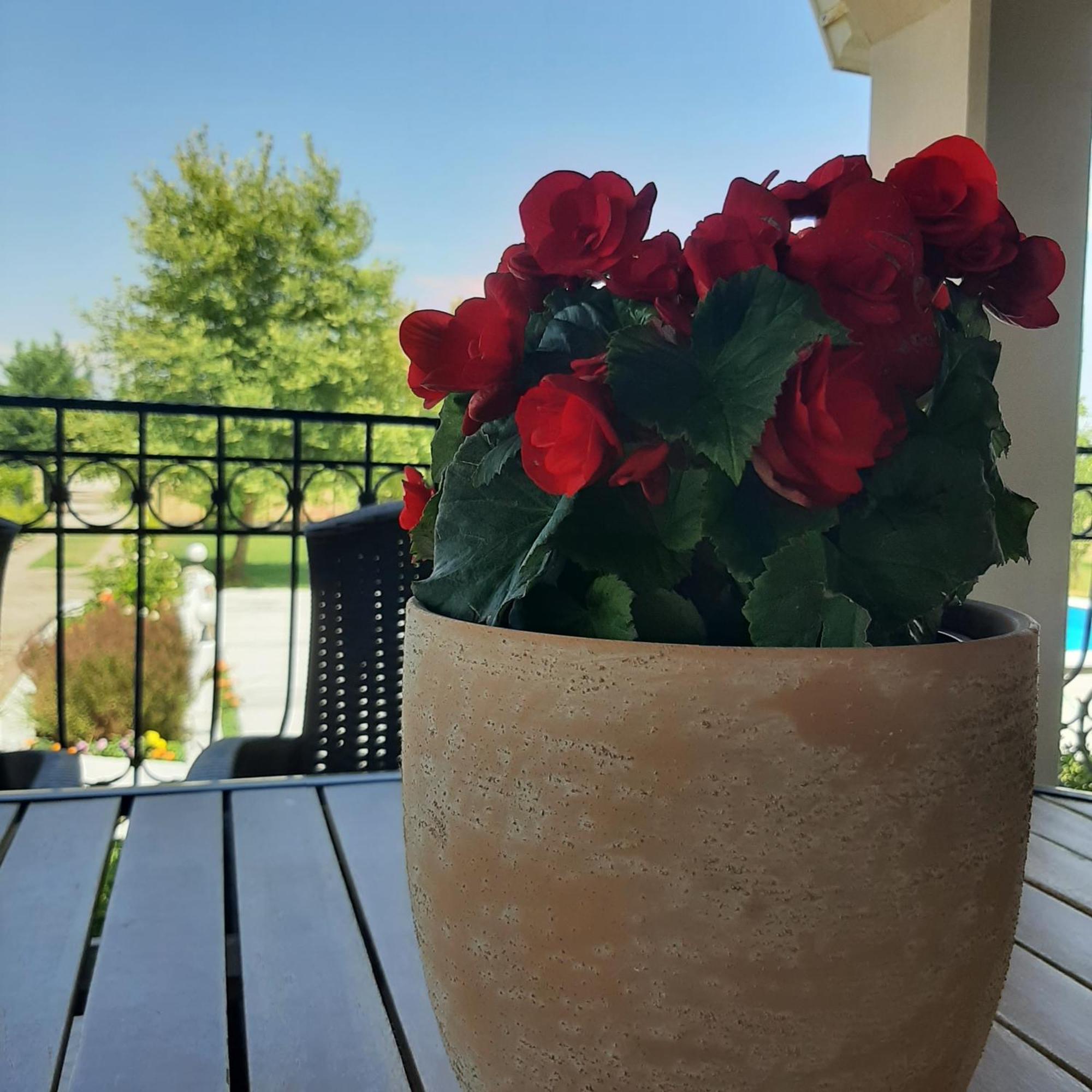 Вілла Αρχοντικό Παπανικολάου Ligaria  Екстер'єр фото